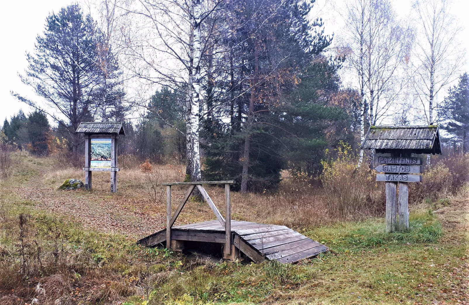 _aukliai_the_beginning_of_the_trail