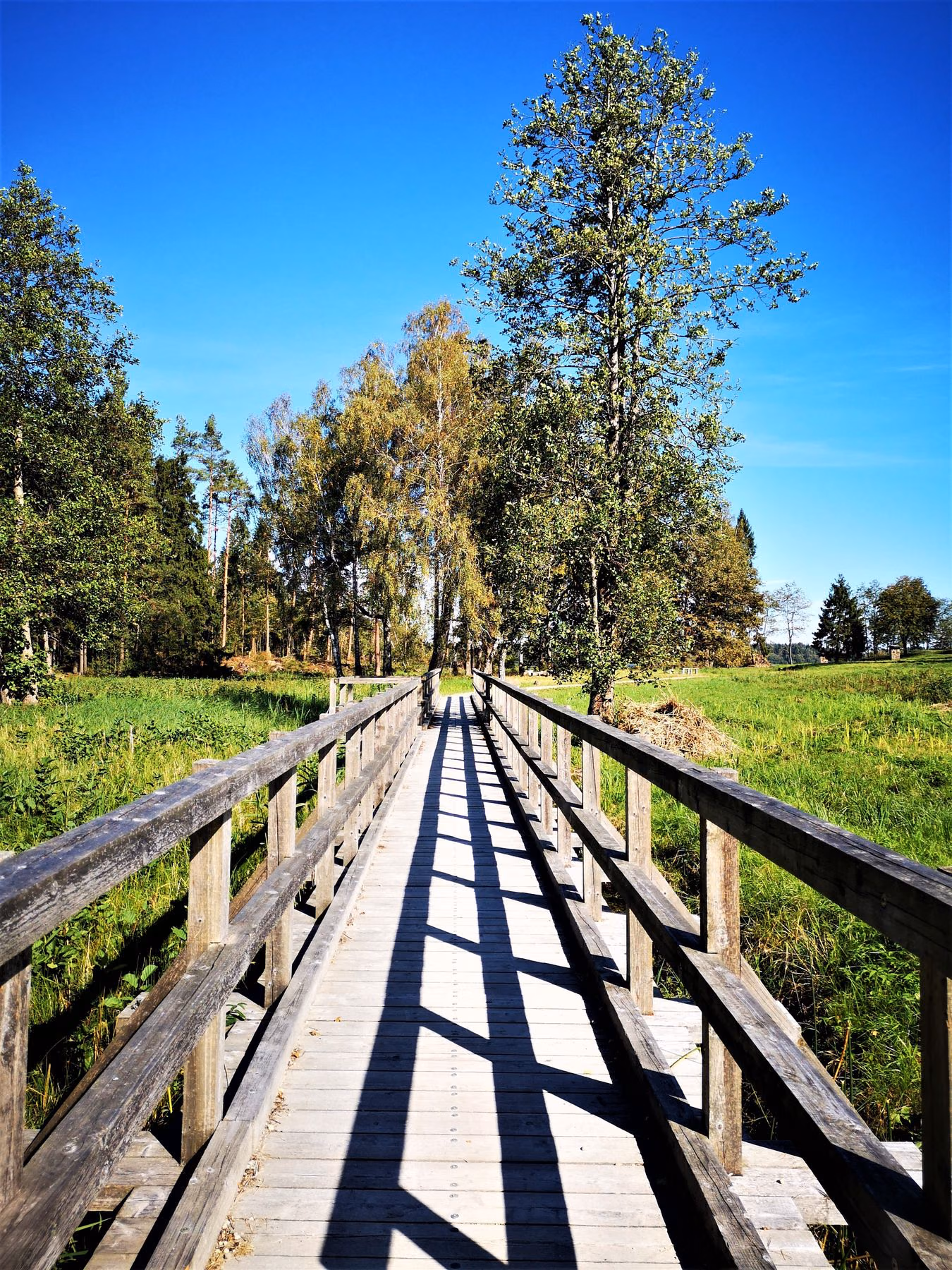 4_seire_trail_antanaviciute_tiltas_per_gaudupi