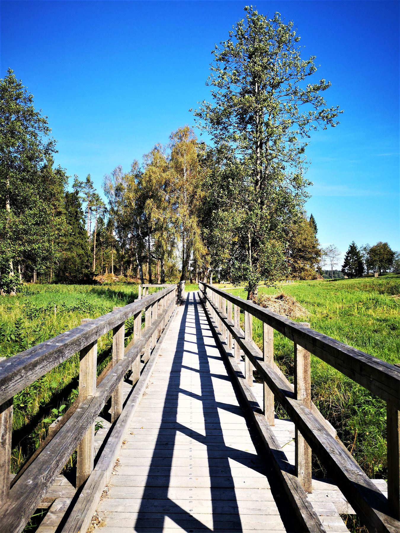 4_seire_trail_antanaviciute_tiltas_per_gaudupi