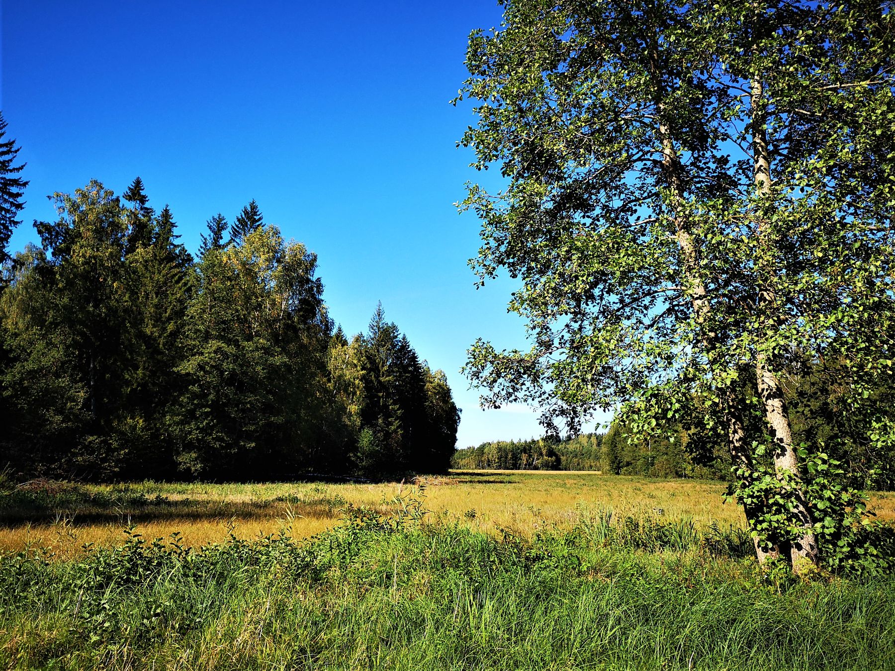 5_seires_takas_antanaviciute_gaudupis