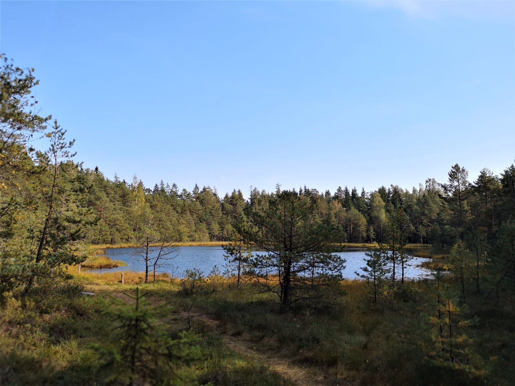 7_Seire_trail_antanaviciute_piktezeris