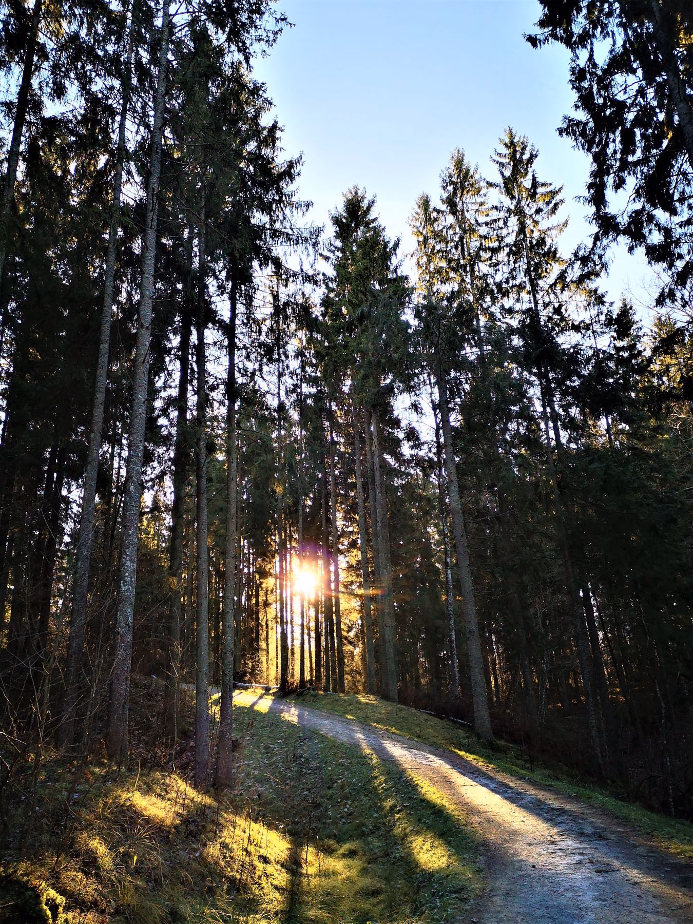 8_Seire_trail_antanaviciute_path