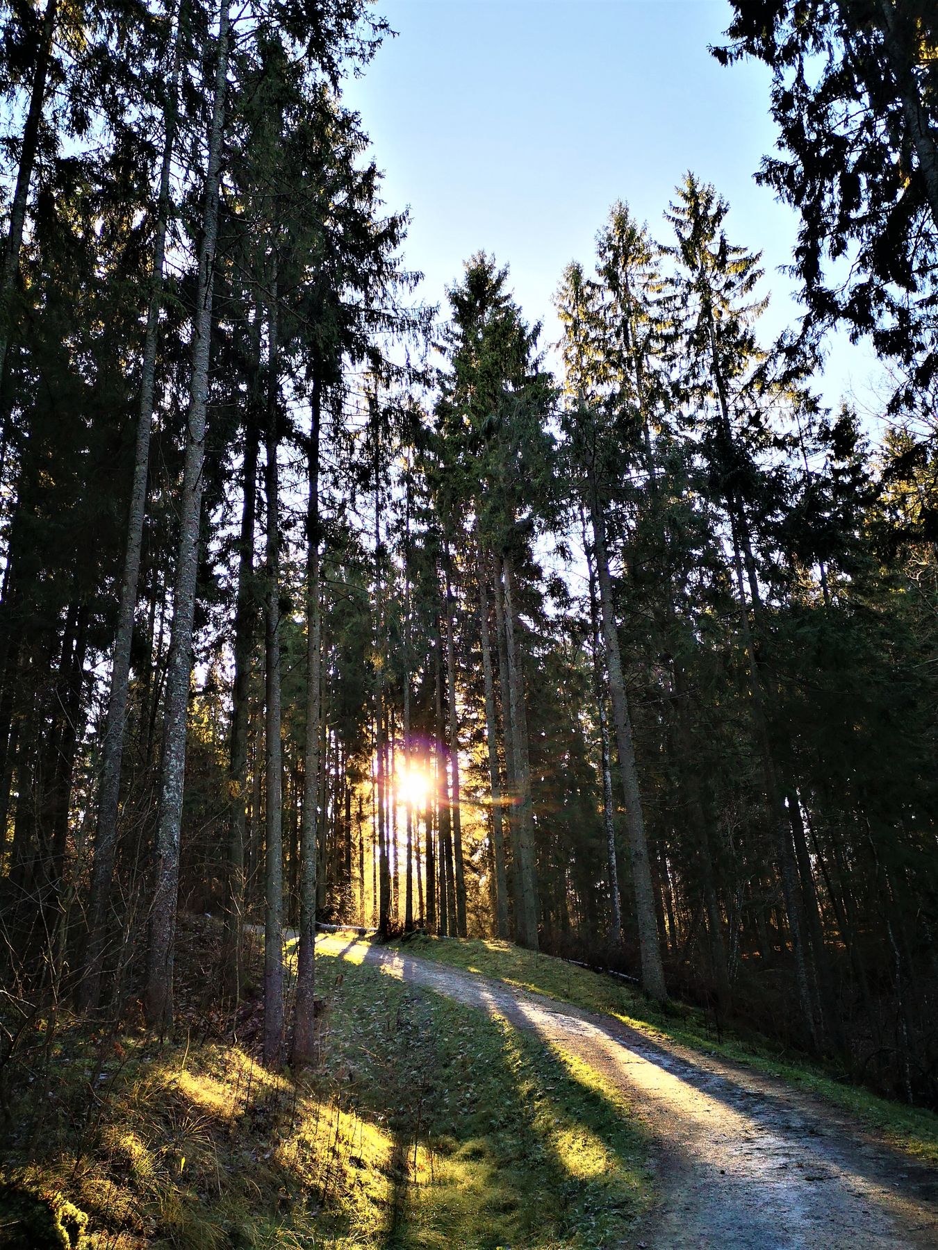 8_Seire_trail_antanaviciute_path