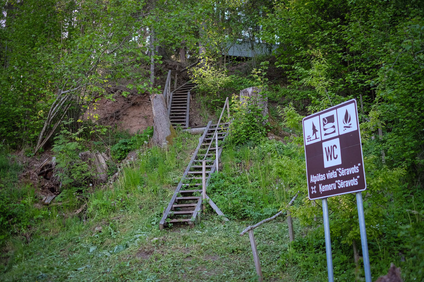 DSCF1601