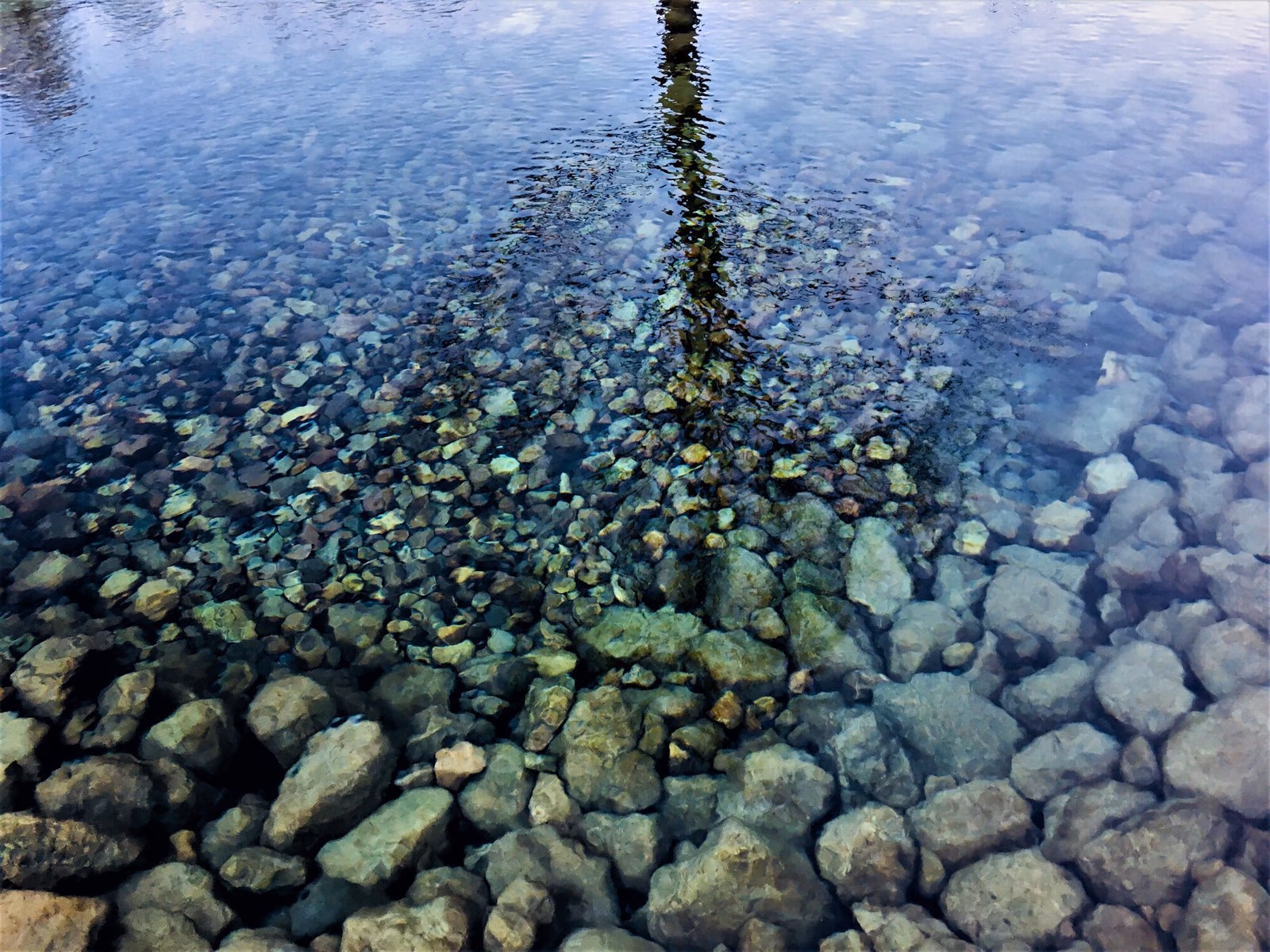 VBWDE4583
