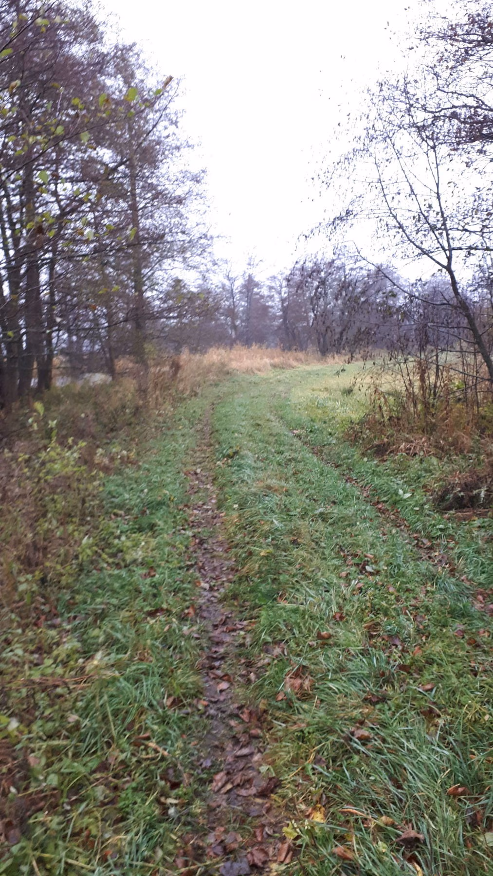 Tulkiarage_trail