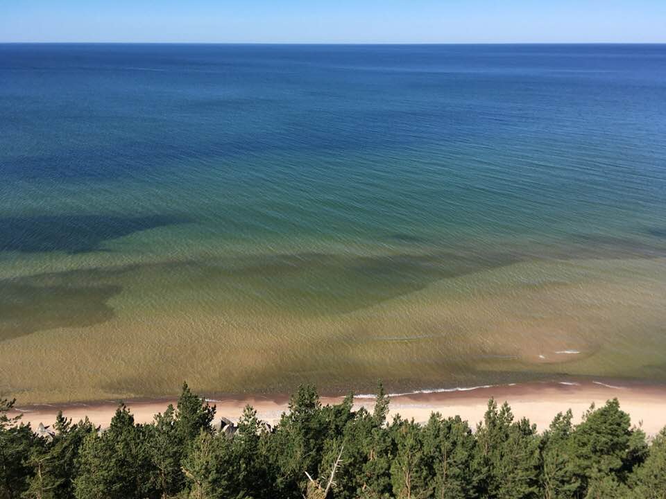 32214999_1616578661794043_7243967892419510272_n