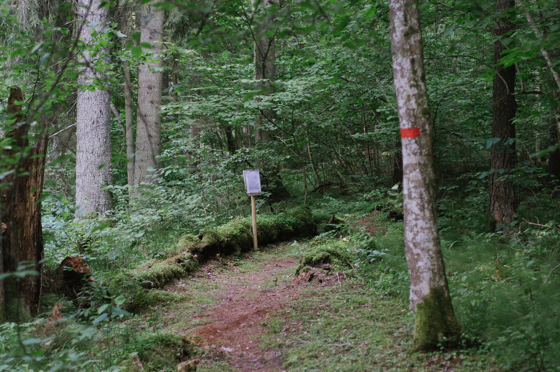 DSC02605