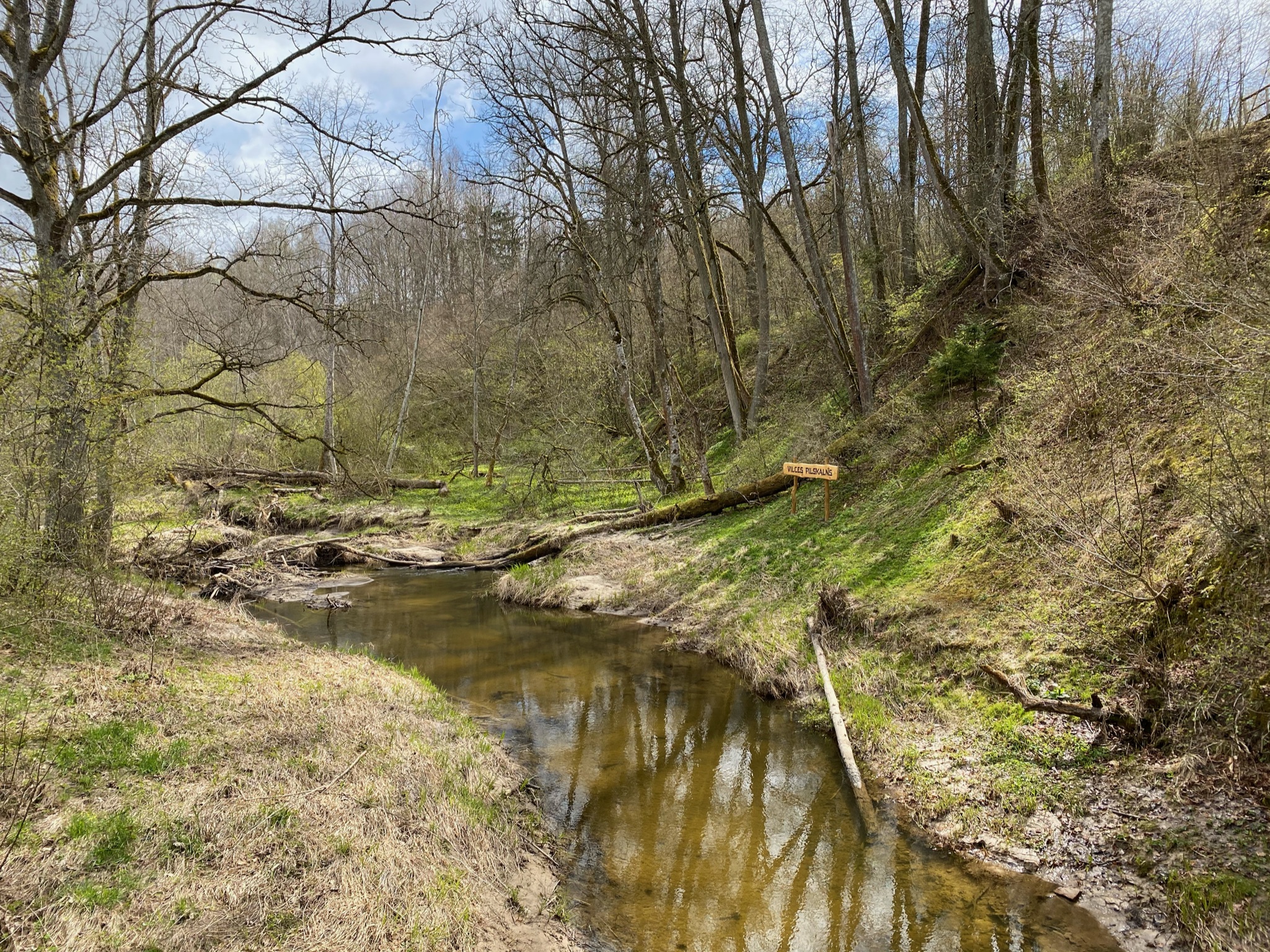 54AFD1AA-C888-4C0C-88CB-4B13D85B9294