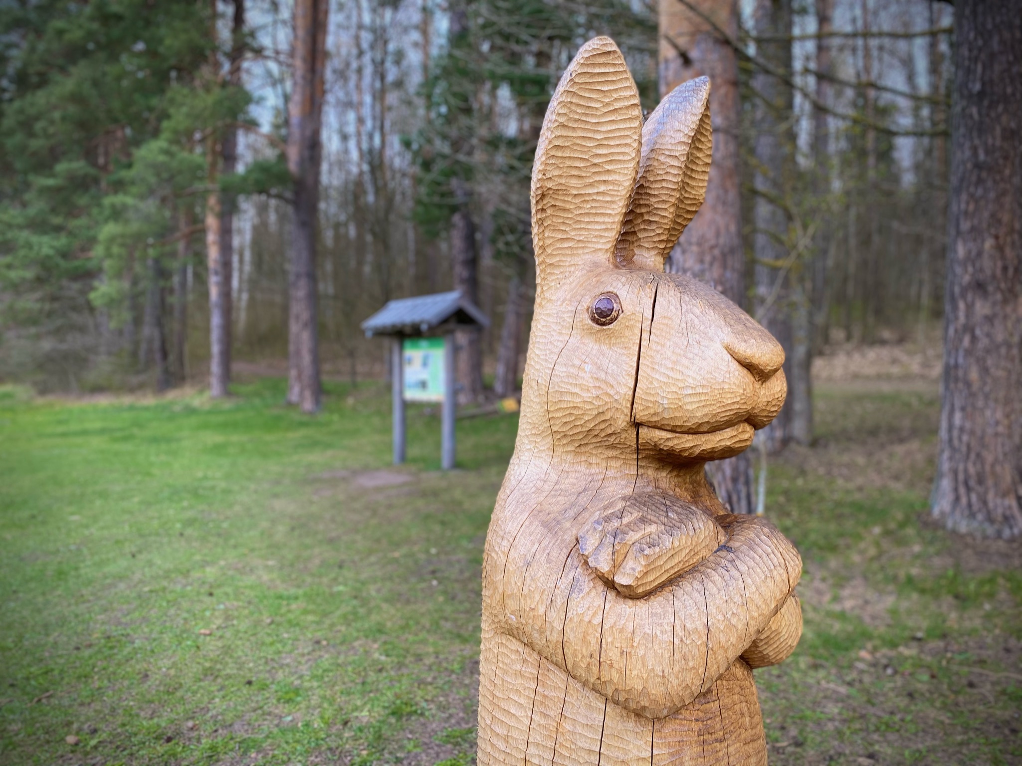 6962D9D7-5028-4ABA-93E2-25531CF42EE0