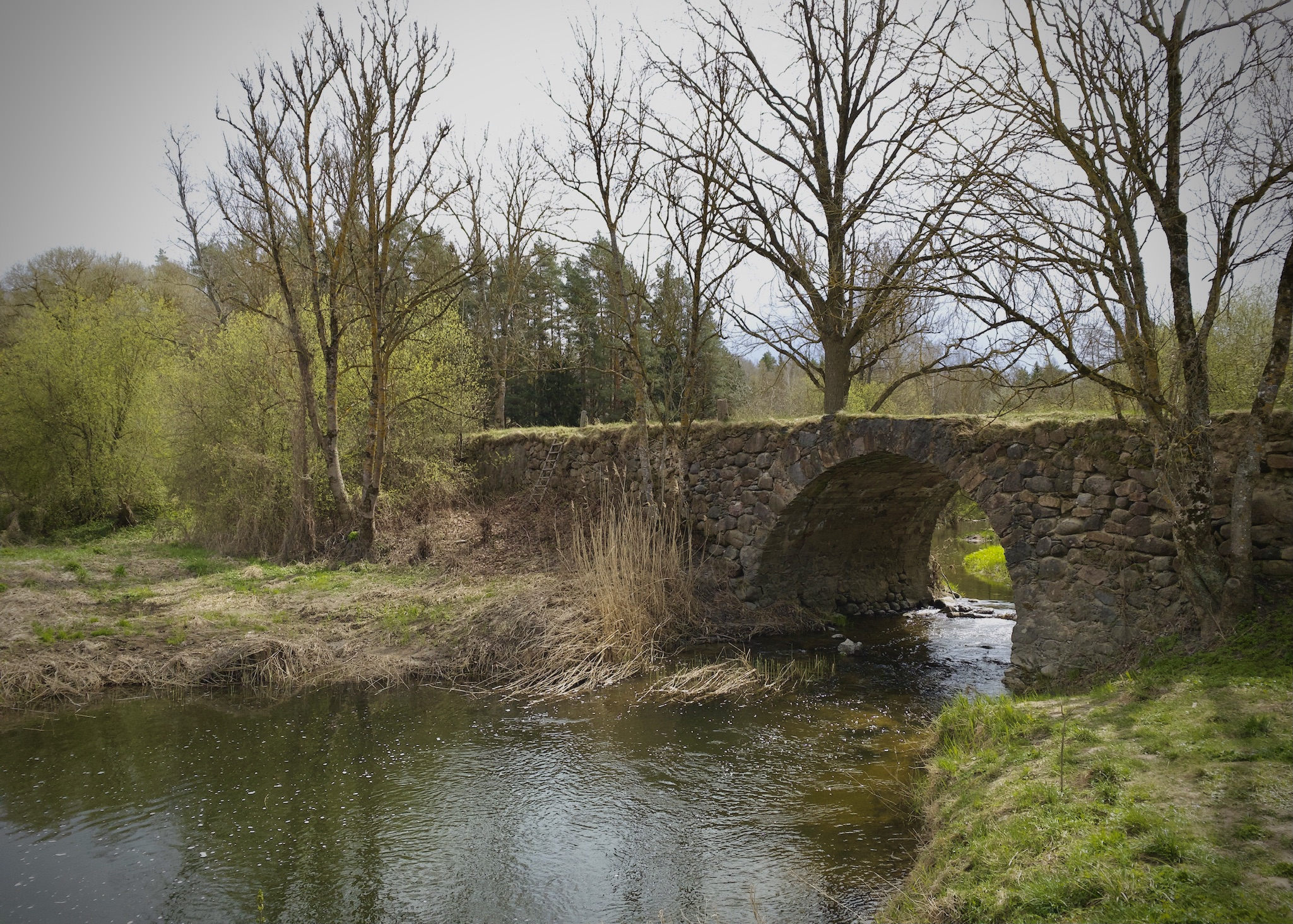 9996EC3C-9CBC-4A87-9B2C-F5CF2C446C9F