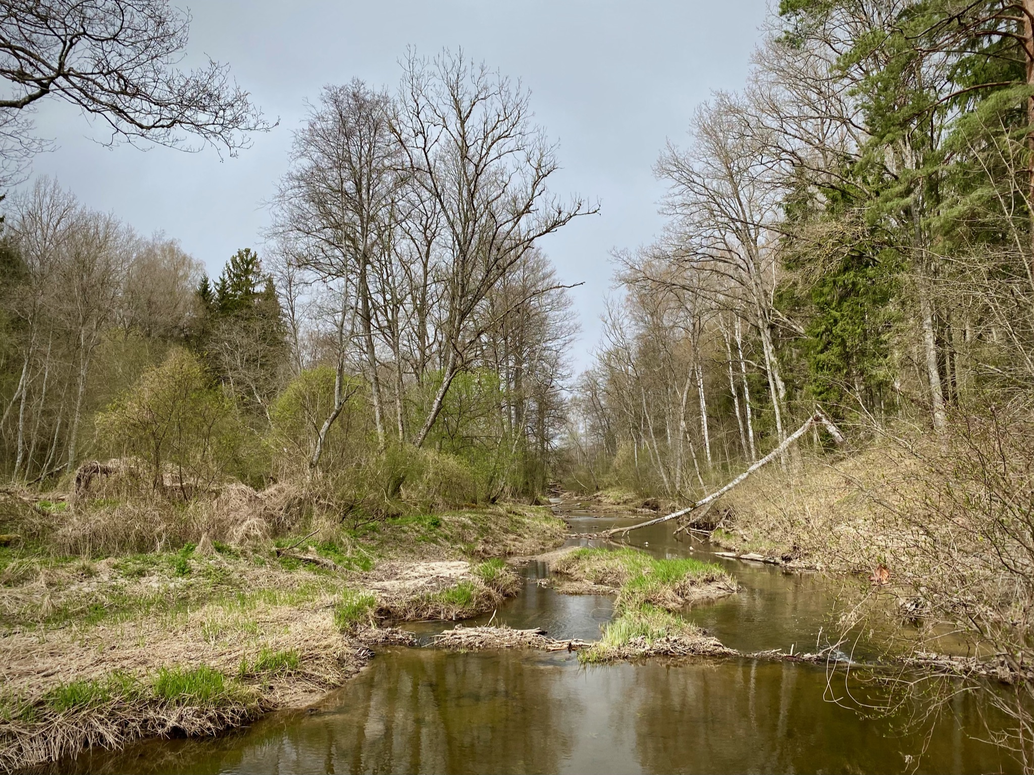 FBEBF0E9-CA81-447B-BC9D-165DE7B94C0A