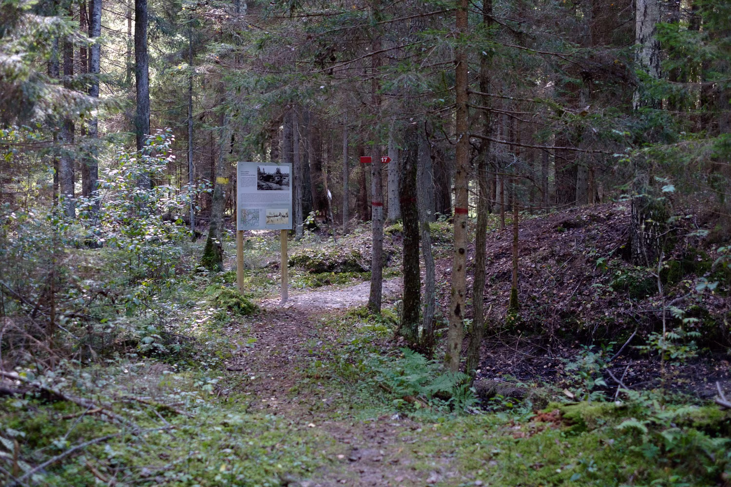 ziemassvetku-1