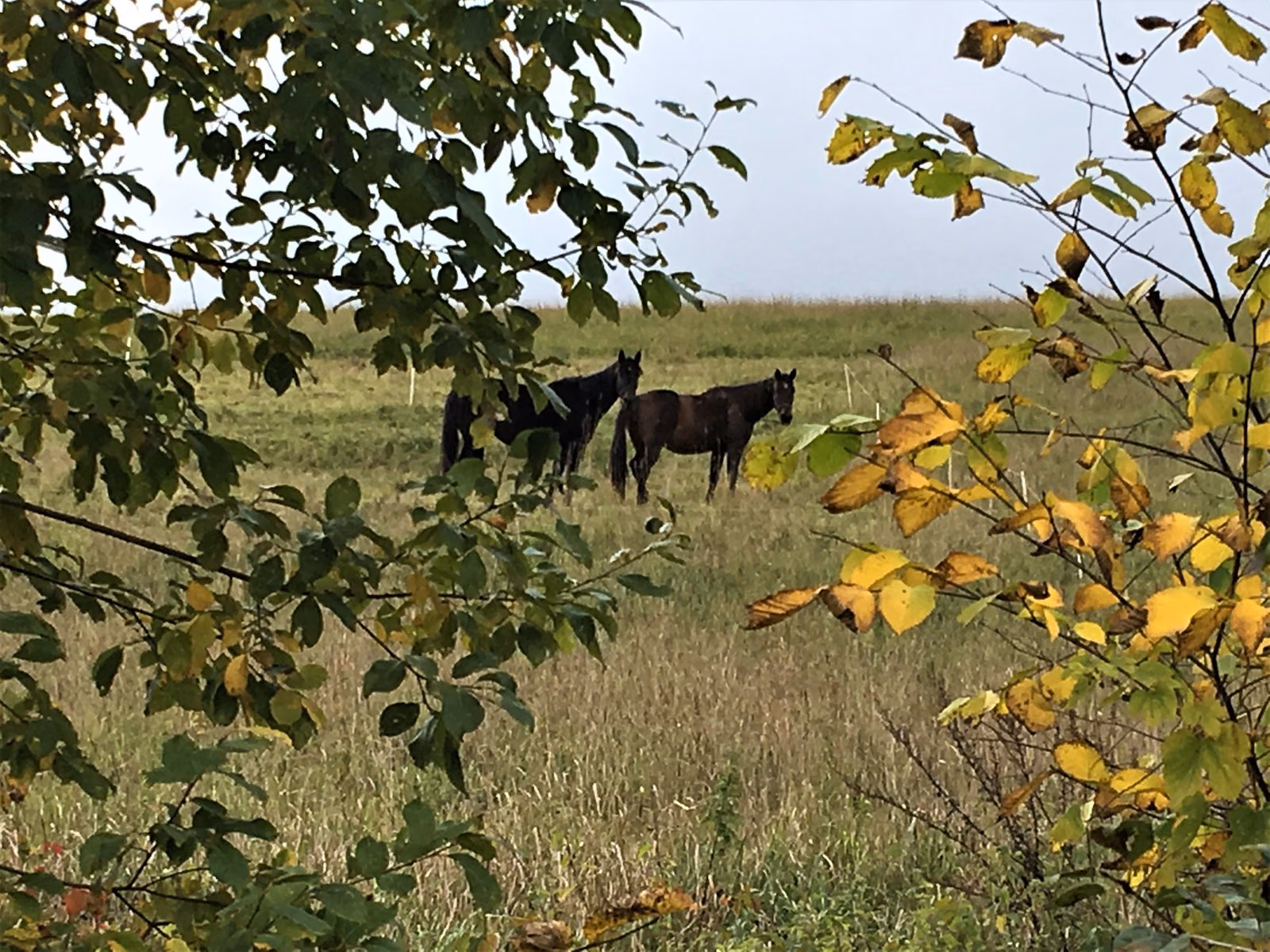 IMG_5747