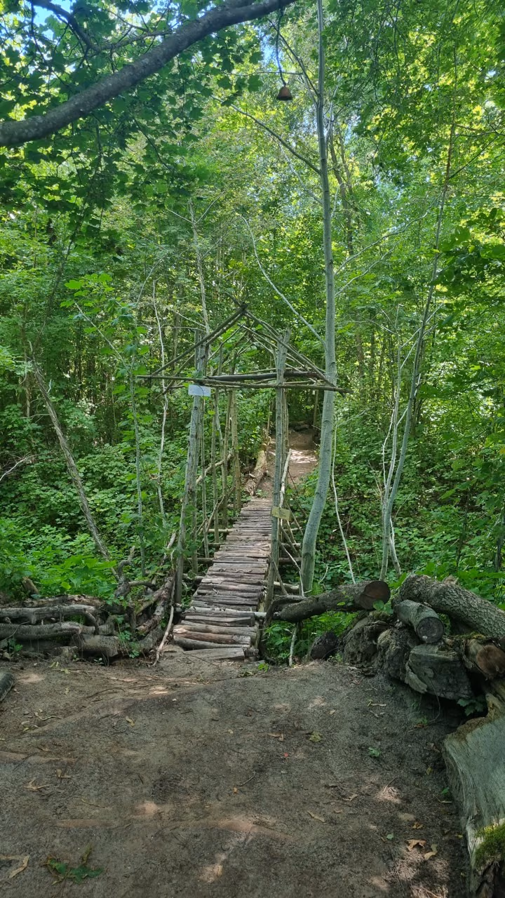 zvaninu1